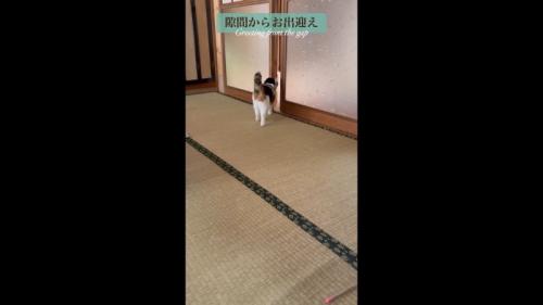 隙間からお出迎え