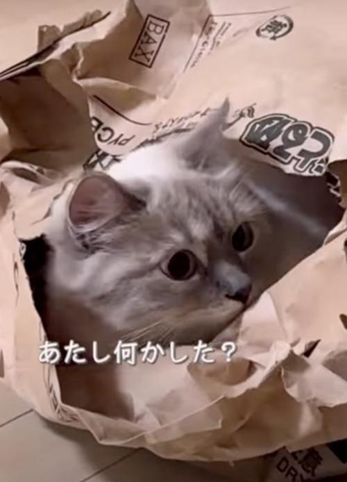 「あたし何かした?」