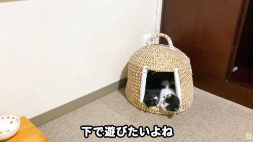 テロップ「下で遊びたいよね」