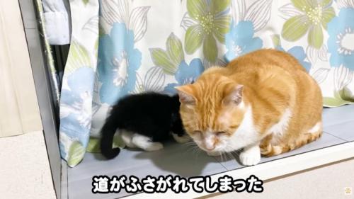 テロップ「道が塞がれてしまった」