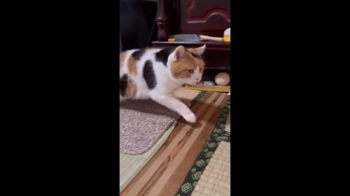 立ち上がる姿