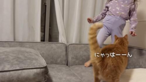 にゃっはーーん