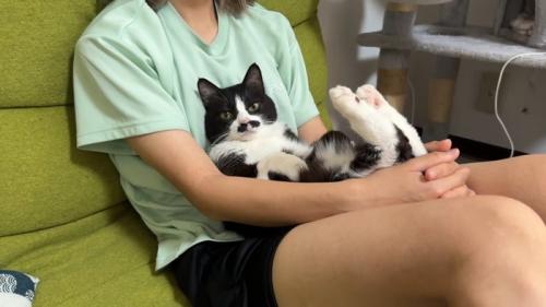 膝抱っこ