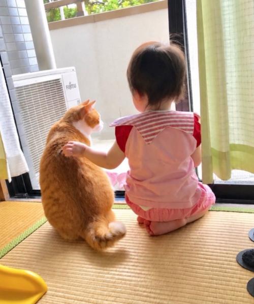 一緒に窓の外を見ていることも