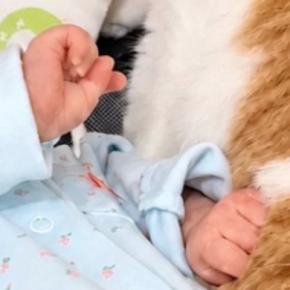 『猫と赤ちゃんが静かだな』と思ったら…思わず笑顔になる『尊い光景』に6万いいね「ママ感がすごいw」「赤ちゃんの表情が全てを物語ってる」