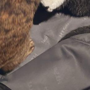 荷物を詰めようとスーツケースを開けておいたら…『2匹の猫がとった行動』に「落ち着く子はよく見るけどw」「とても良い」と91万表示
