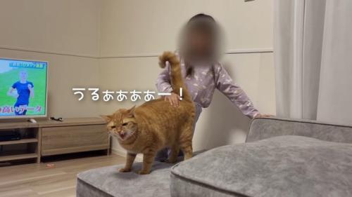 うるぁぁぁぁー！