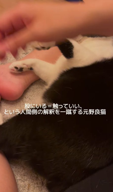 吹き飛ばされる手