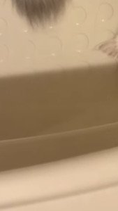 姉ミヌエットが入ったバスタブのアップ