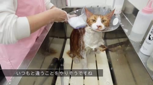 いつもと違うこと