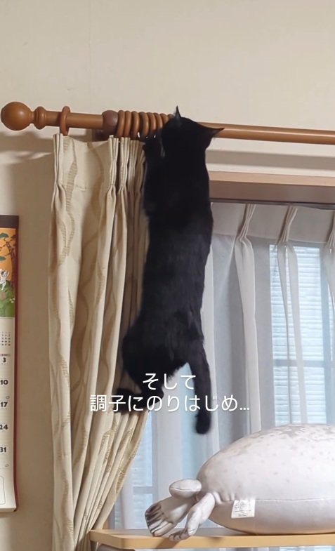 元気いっぱい