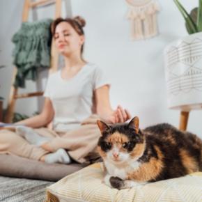 猫と『相性が合う人』に当てはまる特徴5つ どんな人が好かれるの?理想的な関係を築くコツも