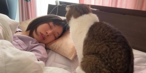 寝ている飼い主を見つめる猫