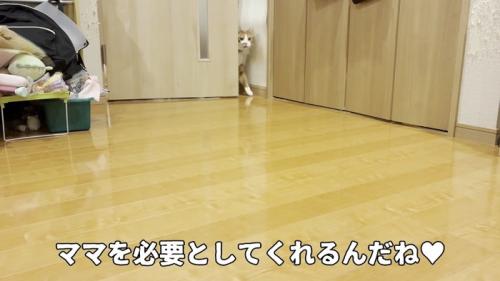 ドアの隙間から