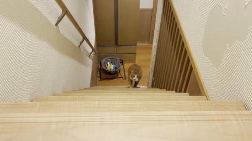 登り始め