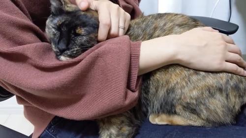 膝に乗るももちゃん
