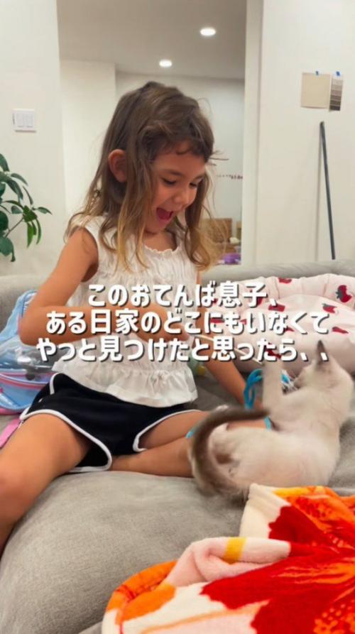 女の子に猫じゃらしで遊んでもらう子猫