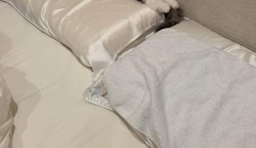 寝室の枕