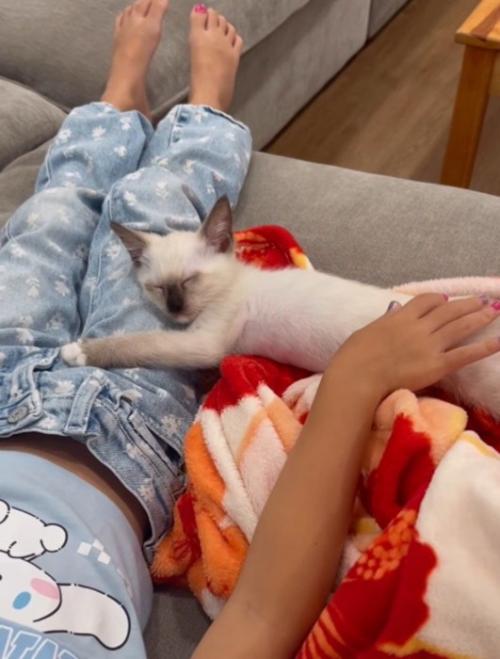 女の子の足に頭を置いてくつろぐ子猫