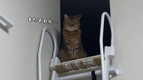 またそれか…