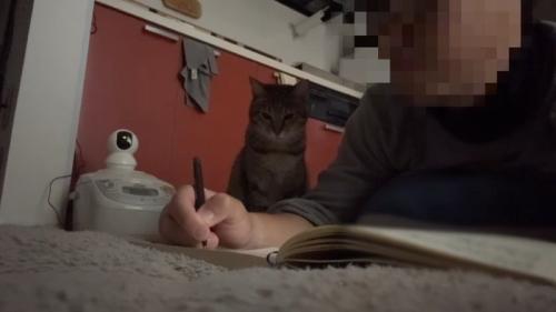 隣にお座り