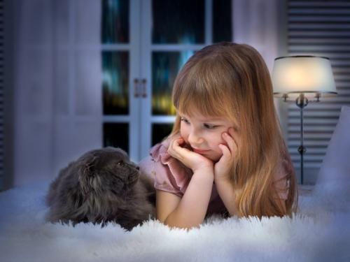 お話する女の子と猫