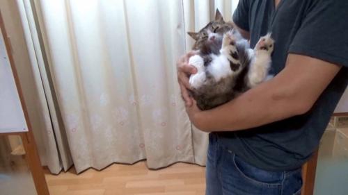 横抱き