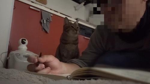 見つめる姿