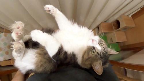 少しこちらを向いて(上から)