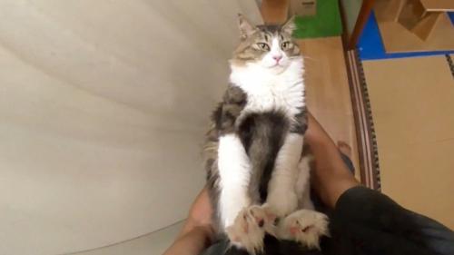 視線を外して