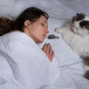 猫が『ありがとう』と伝えているときのサイン4選　よく見られる場面や応え方のポイントも