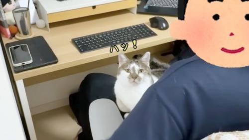 ハッ!