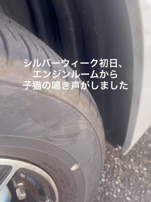 車のタイヤ