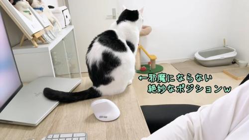 絶妙なポジション