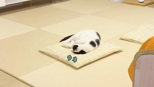 ウネ