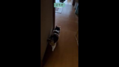 どうぞ