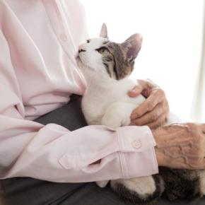猫が『甘えたい』と思っているサイン3つ　行動に込められた気持ちや上手な応え方