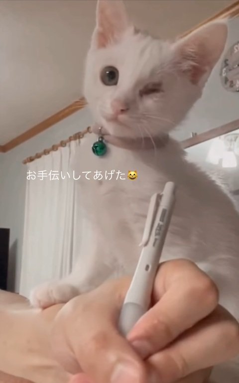 任務完了