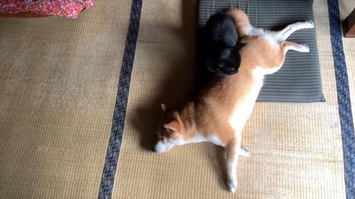 上から