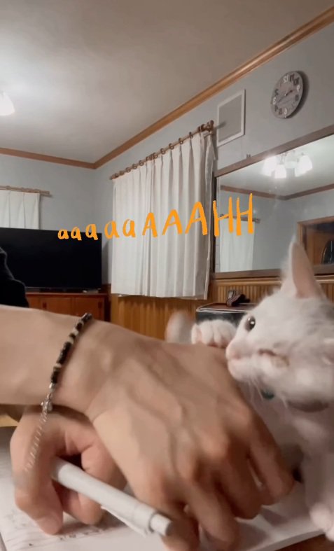 諦めない