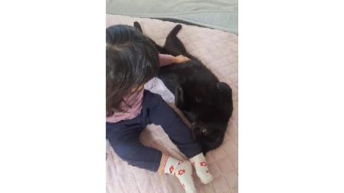 女の子と黒猫