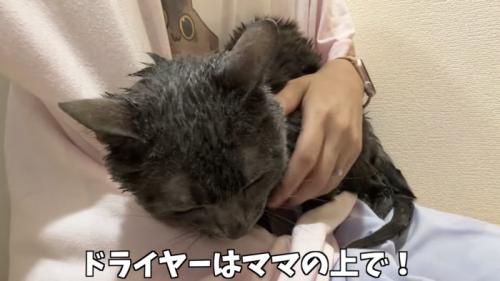 「ドライヤーはママの上で!」のテロップ写真