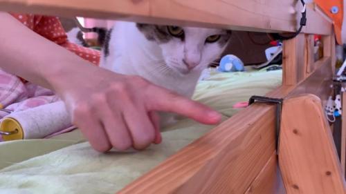 指差し