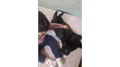 女の子と黒猫