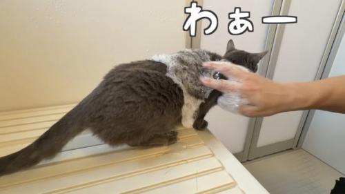 「わぁー」のテロップ写真