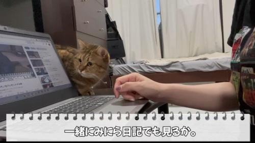 パソコンが気になるみにらくん