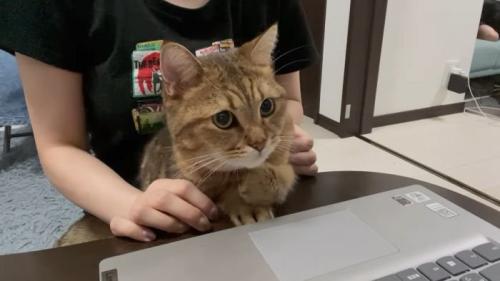 飼い主さんと一緒に見るみにらくん