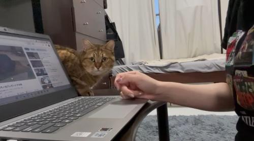 飼い主さんのもとへきたみにらくん