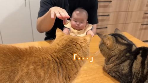 「…」