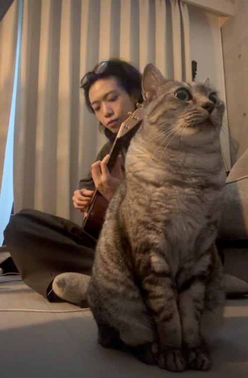 男性の手前で演奏を聴く猫4